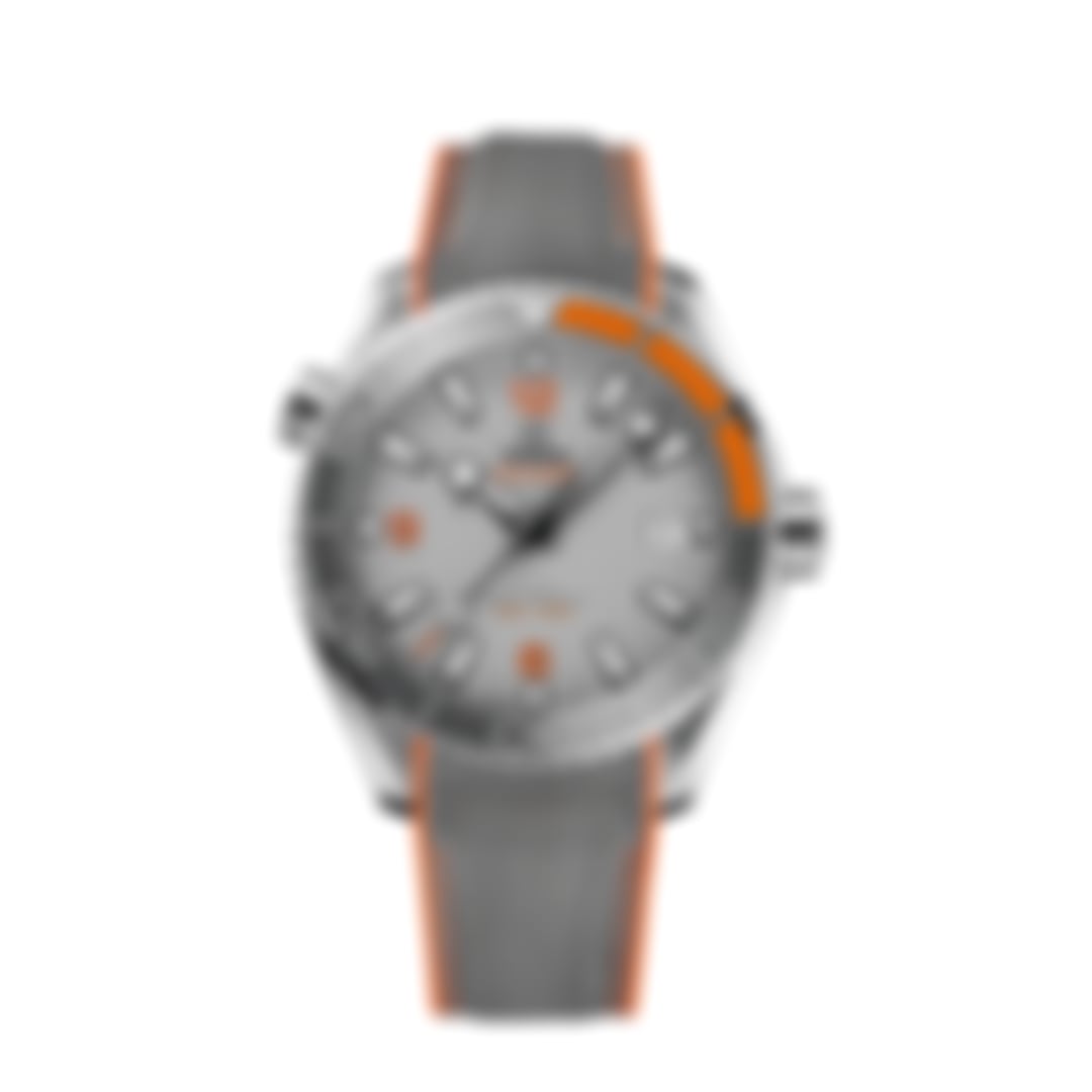 Seamaster Planet Ocean “Co-Axial Chronometer” – Gray/Orange | Professional Diver 600M