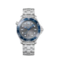 Seamaster Professional – Gray/Blue