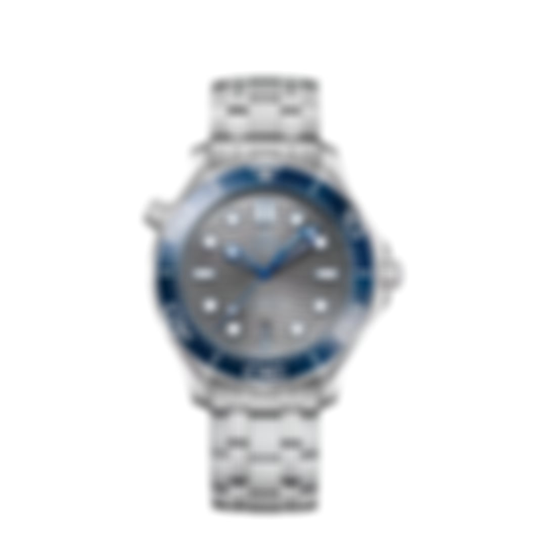 Seamaster Professional – Gray/Blue