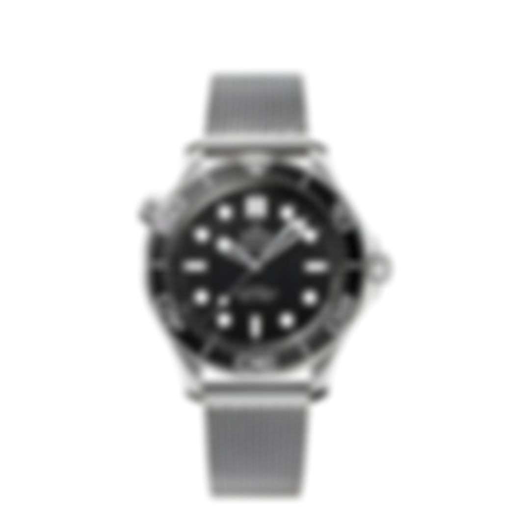 Seamaster “Diver 300M” Black/Mesh Bracelet
