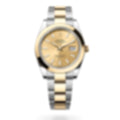Datejust 41 – Champagner Dial – Rolesor