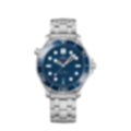 Seamaster Professional – Blue / Steel